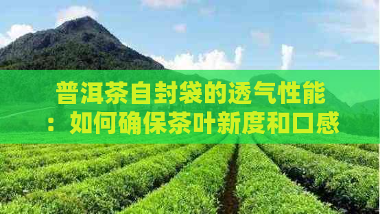 普洱茶自封袋的透气性能：如何确保茶叶新度和口感？