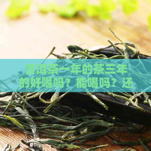 普洱茶一年的茶三年的好喝吗？能喝吗？还能喝吗？