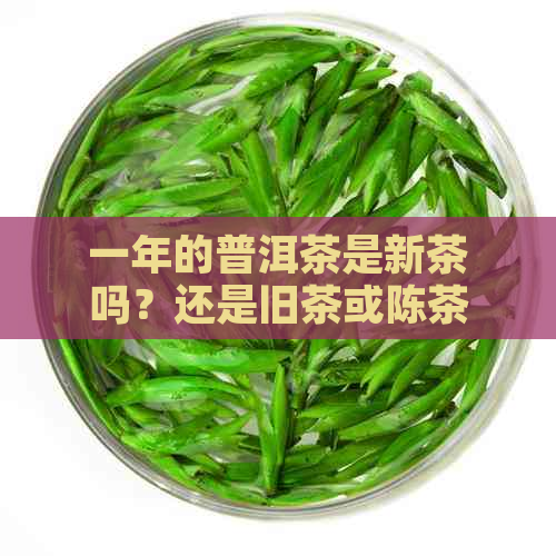 一年的普洱茶是新茶吗？还是旧茶或陈茶？能喝吗？