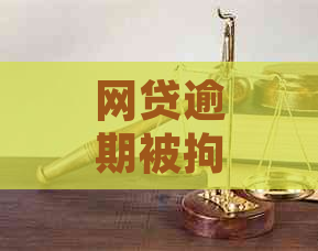 网贷逾期被拘捕应对策略