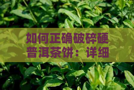 如何正确破碎硬普洱茶饼：详细步骤与技巧，让你轻松掌握！