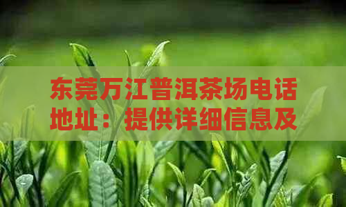 东莞万江普洱茶场电话地址：提供详细信息及联系方式