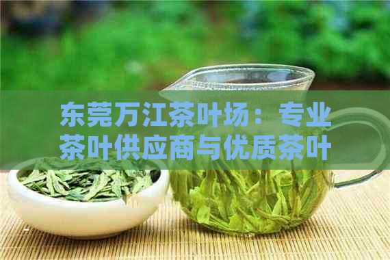 东莞万江茶叶场：专业茶叶供应商与优质茶叶产品的聚集地