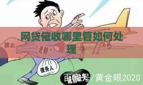 网贷哪里管如何处理