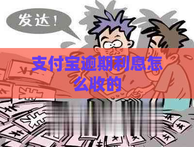 支付宝逾期利息怎么收的