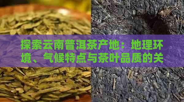 探索云南普洱茶产地：地理环境、气候特点与茶叶品质的关系