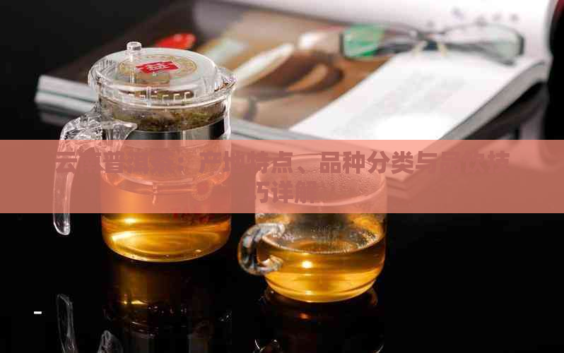 云南普洱茶：产地特点、品种分类与品饮技巧详解