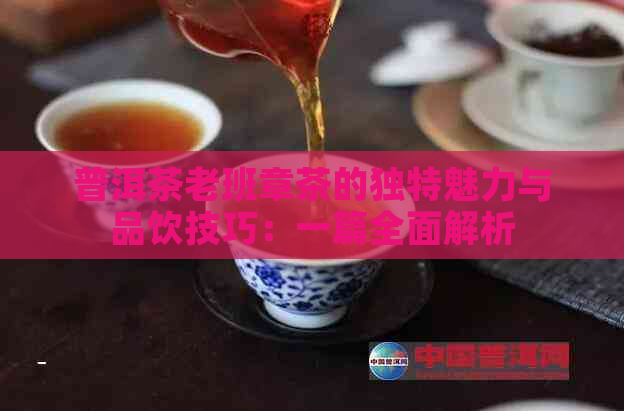 普洱茶老班章茶的独特魅力与品饮技巧：一篇全面解析