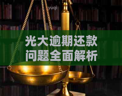 光大逾期还款问题全面解析：原因、影响、解决办法一站式解答