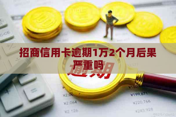 招商信用卡逾期1万2个月后果严重吗