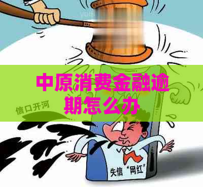 中原消费金融逾期怎么办