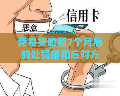 莞易贷逾期7个月后的处罚措和应对方法