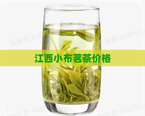 江西小布茗茶价格