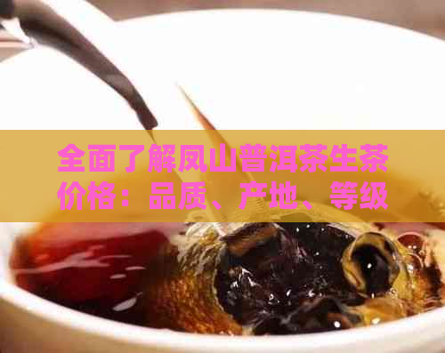 全面了解凤山普洱茶生茶价格：品质、产地、等级与市场行情一网打尽