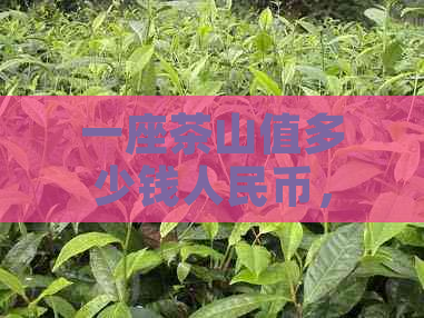 一座茶山值多少钱人民币，安徽黄山的茶山价格是多少？一个茶山多少钱？