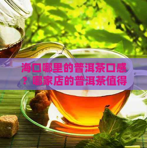 海口哪里的普洱茶口感？哪家店的普洱茶值得一试？