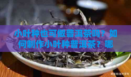 小叶种也可做普洱茶吗？如何制作小叶种普洱茶？哪些小叶种普洱茶品质较好？