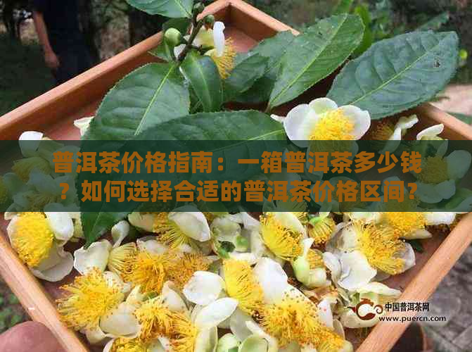 普洱茶价格指南：一箱普洱茶多少钱？如何选择合适的普洱茶价格区间？