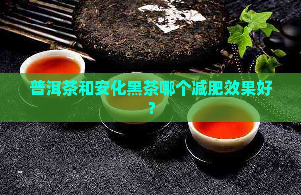 普洱茶和安化黑茶哪个减肥效果好？