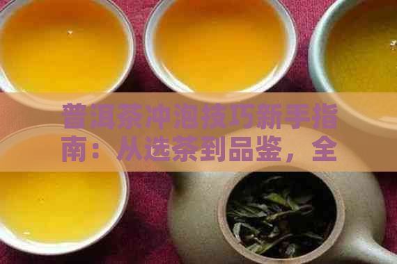 普洱茶冲泡技巧新手指南：从选茶到品鉴，全面掌握喝茶方法