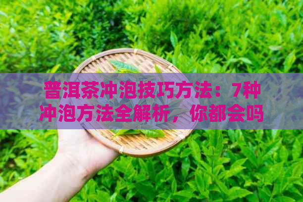 普洱茶冲泡技巧方法：7种冲泡方法全解析，你都会吗？