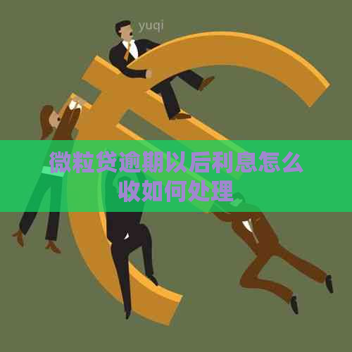 微粒贷逾期以后利息怎么收如何处理