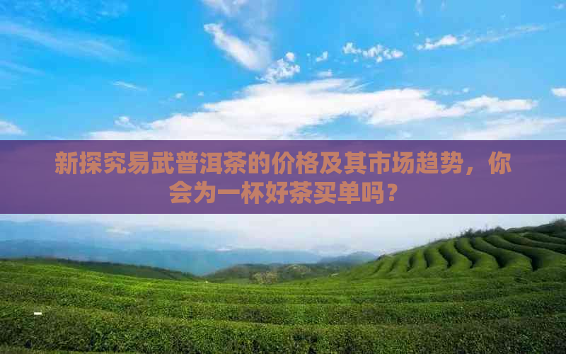 新探究易武普洱茶的价格及其市场趋势，你会为一杯好茶买单吗？