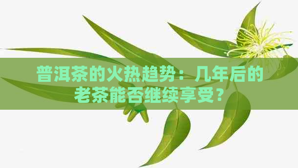 普洱茶的火热趋势：几年后的老茶能否继续享受？