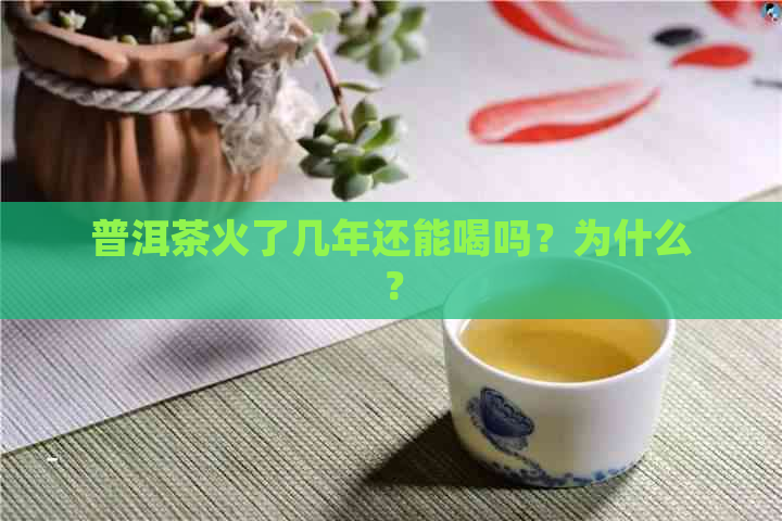 普洱茶火了几年还能喝吗？为什么？