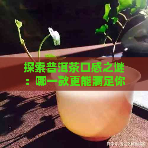 探索普洱茶口感之谜：哪一款更能满足你的味蕾？