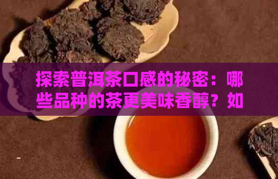 探索普洱茶口感的秘密：哪些品种的茶更美味香醇？如何挑选和泡制？