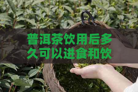 普洱茶饮用后多久可以进食和饮水？解答关于普洱茶饮用时间的全面问题