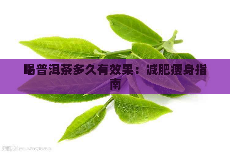 喝普洱茶多久有效果：减肥瘦身指南