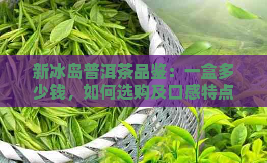 新冰岛普洱茶品鉴：一盒多少钱，如何选购及口感特点分析