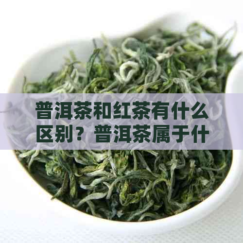 普洱茶和红茶有什么区别？普洱茶属于什么茶类别？