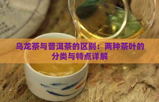 乌龙茶与普洱茶的区别：两种茶叶的分类与特点详解