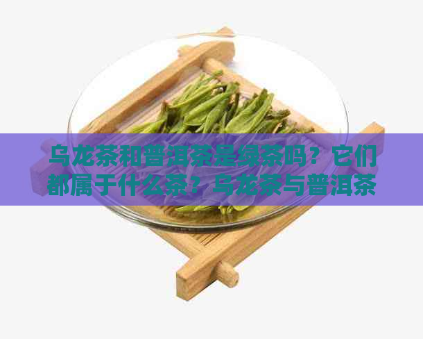 乌龙茶和普洱茶是绿茶吗？它们都属于什么茶？乌龙茶与普洱茶有什么区别？