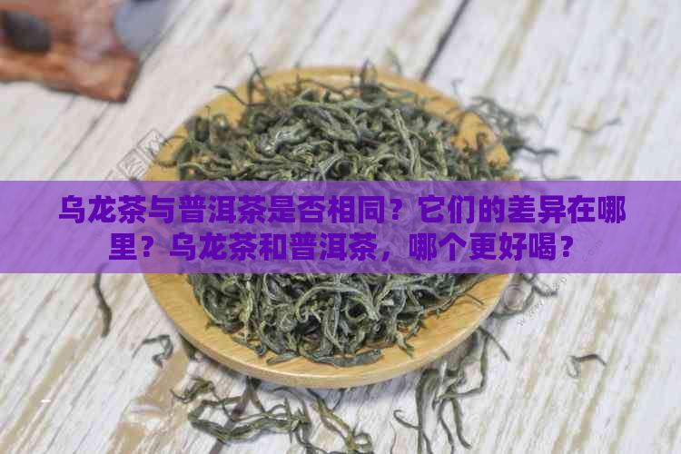 乌龙茶与普洱茶是否相同？它们的差异在哪里？乌龙茶和普洱茶，哪个更好喝？