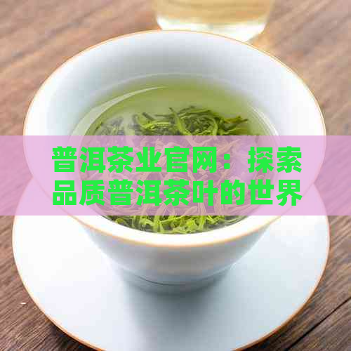 普洱茶业官网：探索品质普洱茶叶的世界，了解购买、鉴别与品鉴全攻略