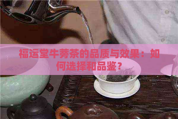 福运堂牛蒡茶的品质与效果：如何选择和品鉴？