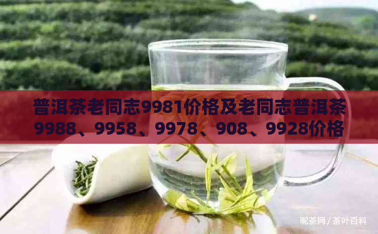 普洱茶老同志9981价格及老同志普洱茶9988、9958、9978、908、9928价格信息