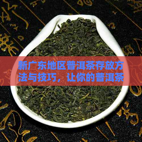 新广东地区普洱茶存放方法与技巧，让你的普洱茶更美味！