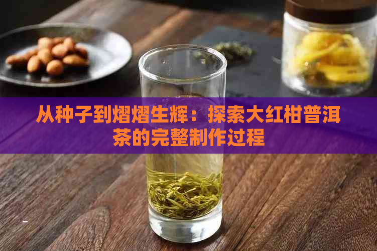 从种子到熠熠生辉：探索大红柑普洱茶的完整制作过程