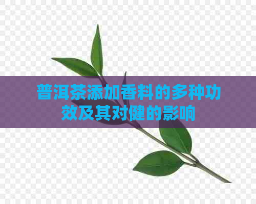 普洱茶添加香料的多种功效及其对健的影响