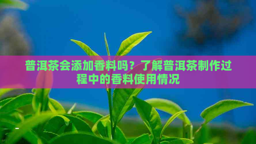 普洱茶会添加香料吗？了解普洱茶制作过程中的香料使用情况