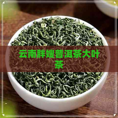 云南胖嫂普洱茶大叶茶