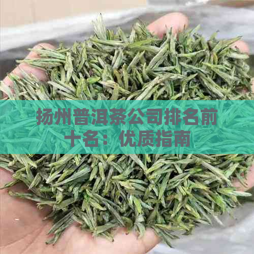 扬州普洱茶公司排名前十名：优质指南