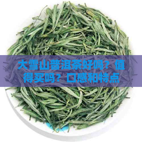 大雪山普洱茶好吗？值得买吗？口感和特点如何？多少钱一斤？来自哪个茶区？