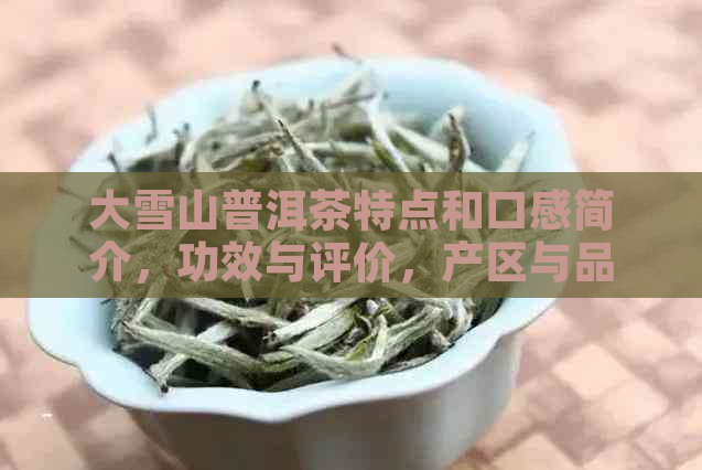 大雪山普洱茶特点和口感简介，功效与评价，产区与品鉴