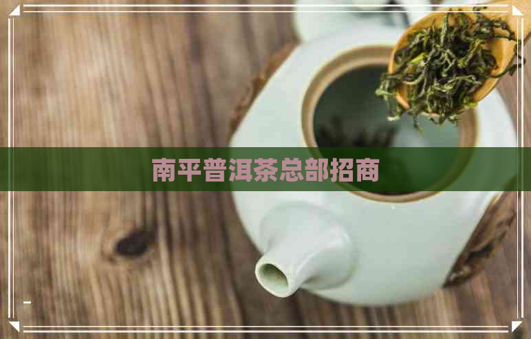 南平普洱茶总部招商